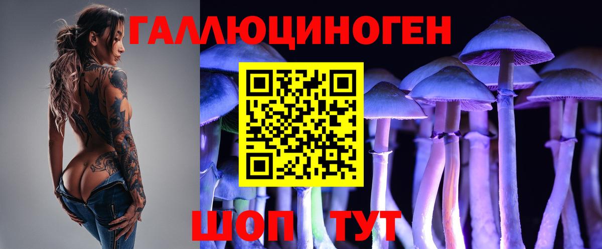 Кингисепп  Галлюциногенные грибы мицелий  Вход с VPN 